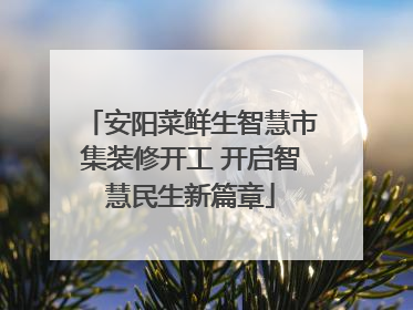 安阳菜鲜生智慧市集装修开工 开启智慧民生新篇章