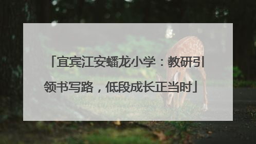 宜宾江安蟠龙小学：教研引领书写路，低段成长正当时