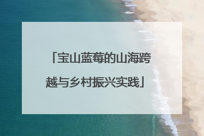 宝山蓝莓的山海跨越与乡村振兴实践