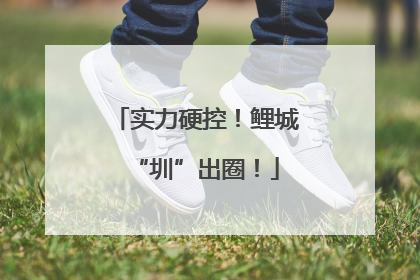 实力硬控！鲤城“圳”出圈！