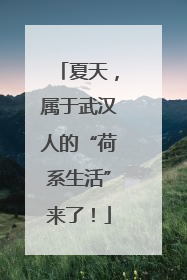 夏天，属于武汉人的“荷系生活”来了！