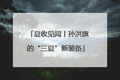 夏收见闻丨孙洪旗的“三夏”新装备