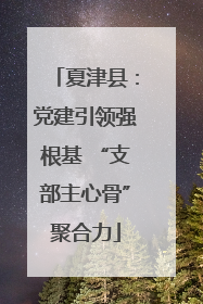 夏津县：党建引领强根基 “支部主心骨”聚合力