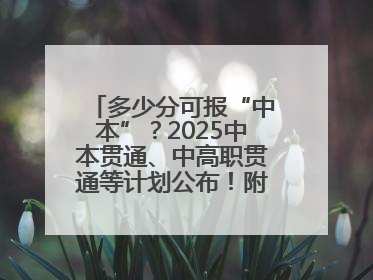 多少分可报“中本”？2025中本贯通、中高职贯通等计划公布！附2024分数线