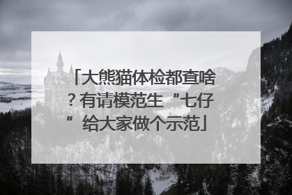 大熊猫体检都查啥？有请模范生“七仔”给大家做个示范