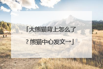 大熊猫背上怎么了？熊猫中心发文→