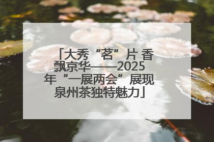 大秀“茗”片 香飘京华——2025年“一展两会”展现泉州茶独特魅力