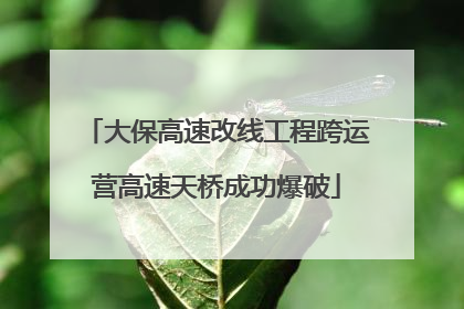 大保高速改线工程跨运营高速天桥成功爆破