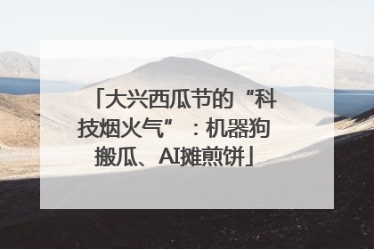 大兴西瓜节的“科技烟火气”：机器狗搬瓜、AI摊煎饼