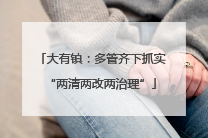 大有镇：多管齐下抓实“两清两改两治理”