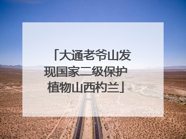 大通老爷山发现国家二级保护植物山西杓兰