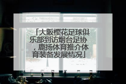 大阪樱花足球俱乐部到访烟台足协，鹿扬体育推介体育装备发展情况