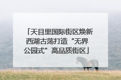 天目里国际街区焕新 西湖古荡打造“无界公园式”高品质街区