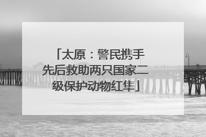 太原：警民携手 先后救助两只国家二级保护动物红隼