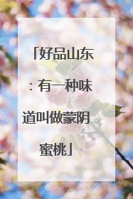 好品山东：有一种味道叫做蒙阴蜜桃