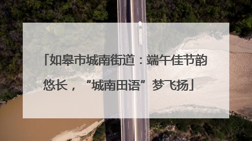 如皋市城南街道：端午佳节韵悠长，“城南田语”梦飞扬