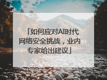 如何应对AI时代网络安全挑战，业内专家给出建议