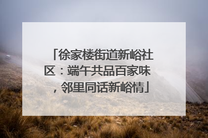 徐家楼街道新峪社区：端午共品百家味，邻里同话新峪情