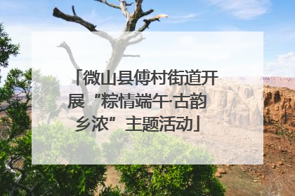 微山县傅村街道开展“粽情端午·古韵乡浓”主题活动