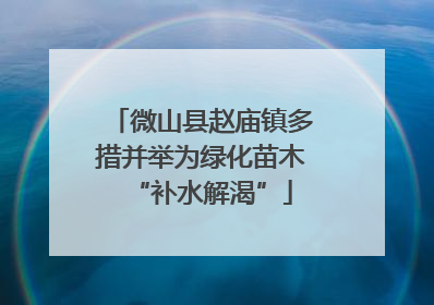 微山县赵庙镇多措并举为绿化苗木“补水解渴”