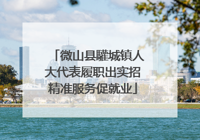 微山县驩城镇人大代表履职出实招精准服务促就业