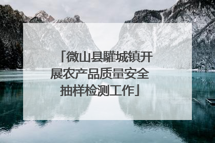 微山县驩城镇开展农产品质量安全抽样检测工作