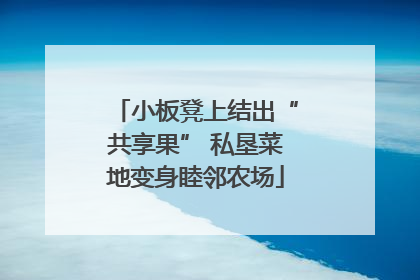 小板凳上结出“共享果” 私垦菜地变身睦邻农场