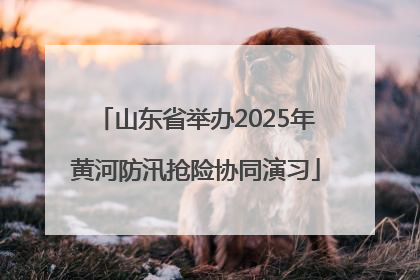 山东省举办2025年黄河防汛抢险协同演习