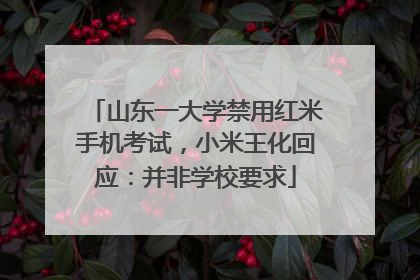 山东一大学禁用红米手机考试，小米王化回应：并非学校要求