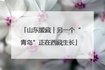 山东援藏｜另一个“青岛”正在西藏生长