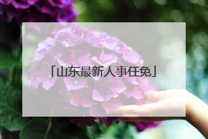 山东最新人事任免