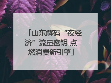山东解码“夜经济”流量密钥 点燃消费新引擎