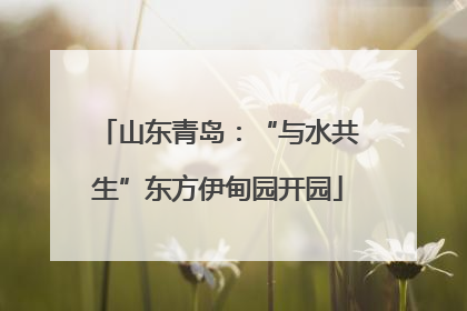 山东青岛：“与水共生”东方伊甸园开园