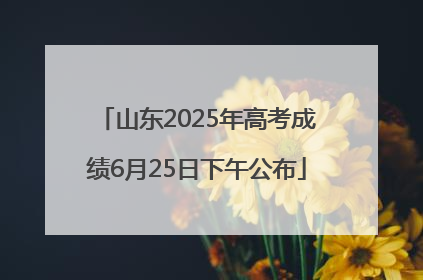山东2025年高考成绩6月25日下午公布