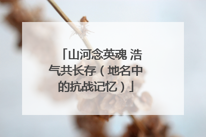 山河念英魂 浩气共长存（地名中的抗战记忆）