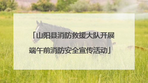 山阳县消防救援大队开展端午前消防安全宣传活动