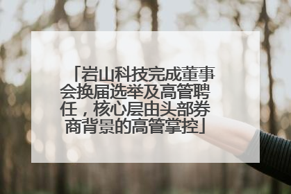 岩山科技完成董事会换届选举及高管聘任，核心层由头部券商背景的高管掌控
