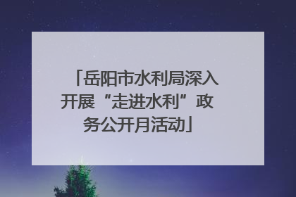 岳阳市水利局深入开展“走进水利”政务公开月活动