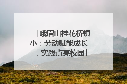 峨眉山桂花桥镇小：劳动赋能成长，实践点亮校园