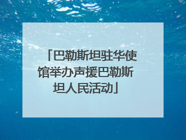 巴勒斯坦驻华使馆举办声援巴勒斯坦人民活动