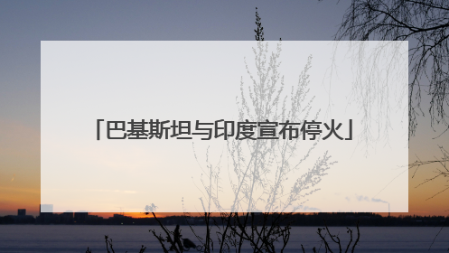 巴基斯坦与印度宣布停火