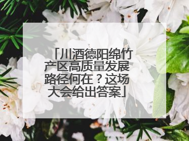 川酒德阳绵竹产区高质量发展路径何在？这场大会给出答案