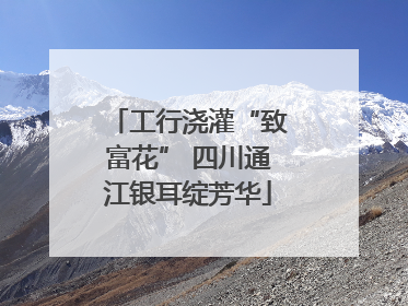 工行浇灌“致富花” 四川通江银耳绽芳华