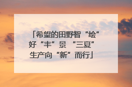 希望的田野智“绘”好“丰”景 “三夏”生产向“新”而行