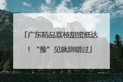 广东精品荔枝甜蜜抵达！“豫”见就别错过