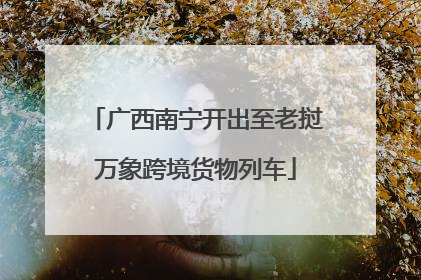 广西南宁开出至老挝万象跨境货物列车