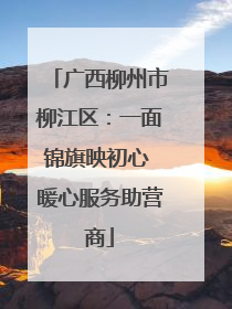广西柳州市柳江区：一面锦旗映初心 暖心服务助营商