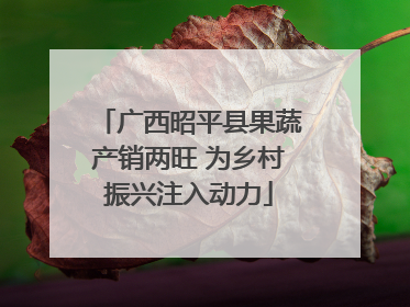 广西昭平县果蔬产销两旺 为乡村振兴注入动力