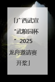 广西武宣“武粮园杯”2025龙舟邀请赛开桨