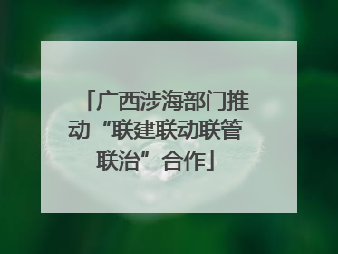 广西涉海部门推动“联建联动联管联治”合作